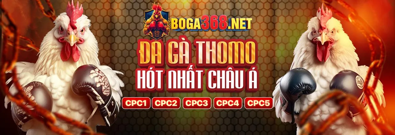 Đá gà trực tuyến qh99 login