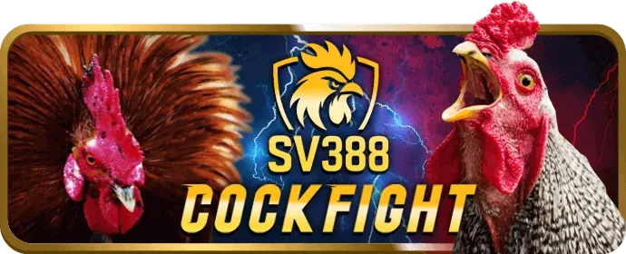Slot game qh99 login